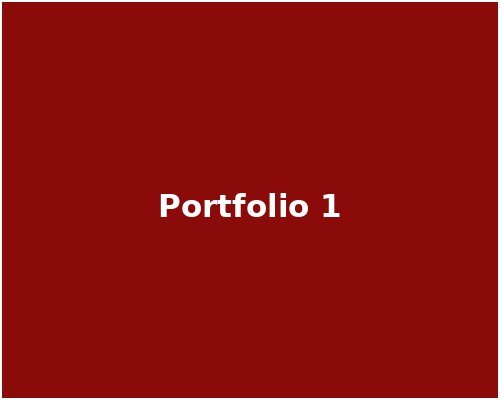 Portfolio 1