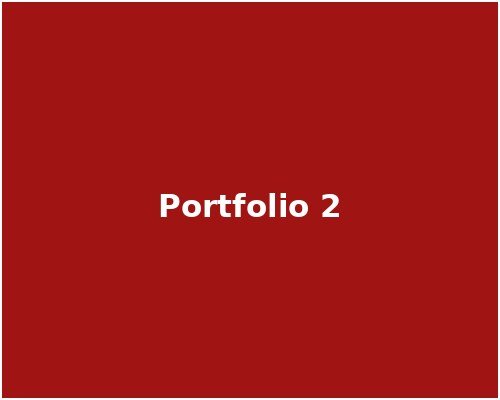 Portfolio 2