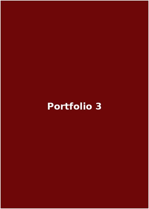 Portfolio 3
