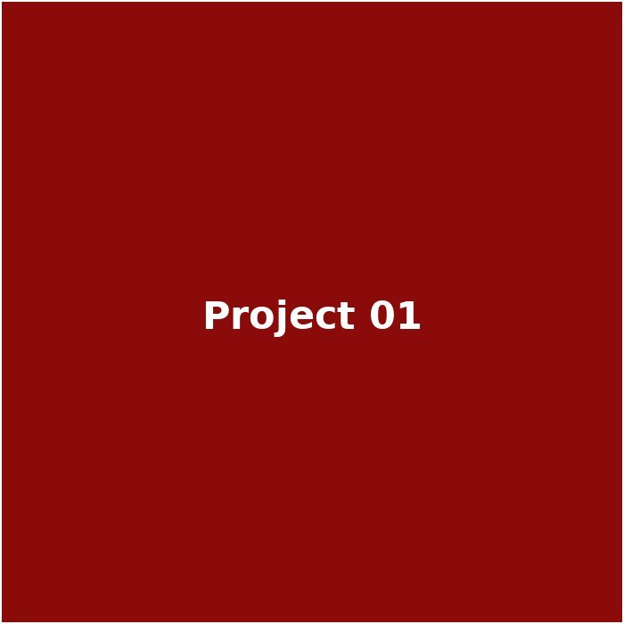 Project 1