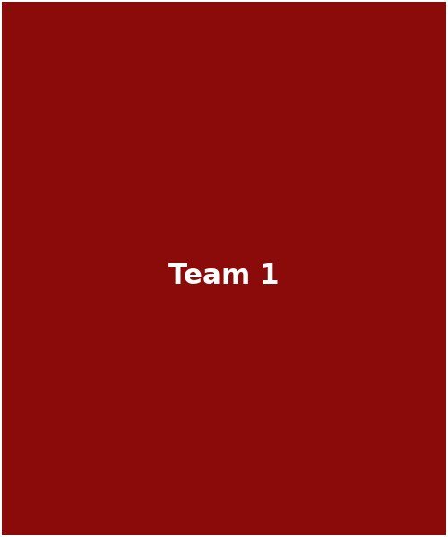 Team member 1