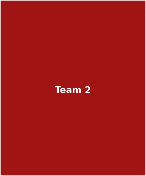Team member 2