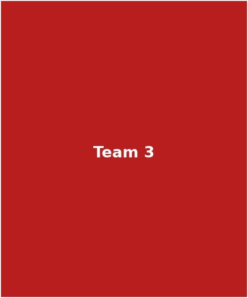 Team member 3