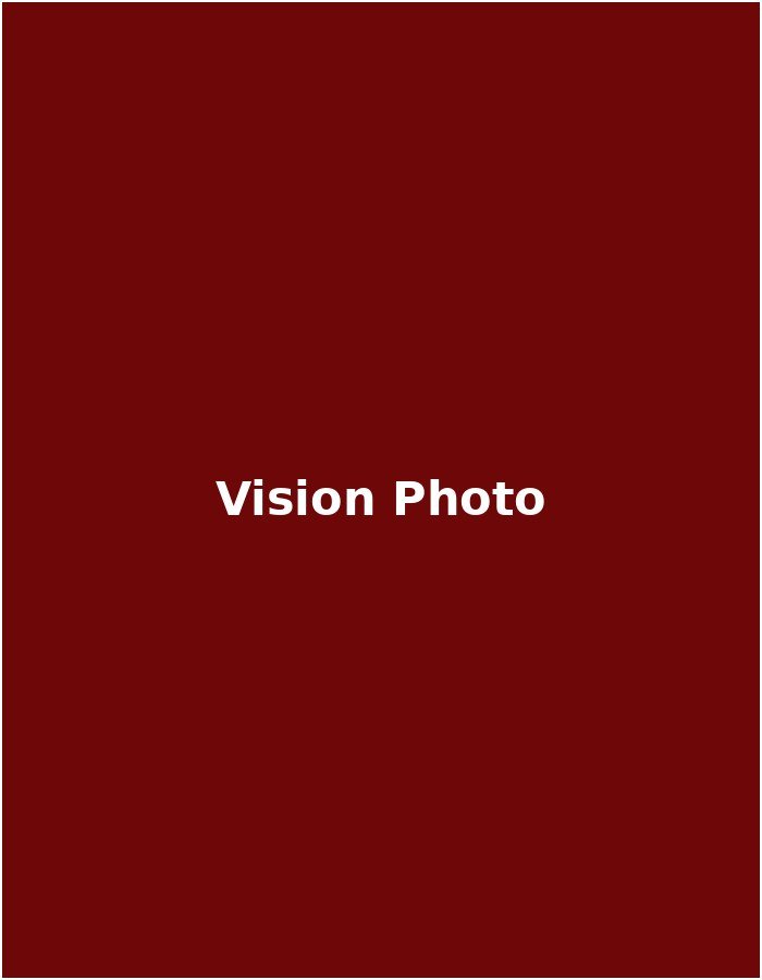 Vision